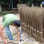 Dari Lidi Sawit Jadi Cuan, Ketika Produk Sederhana Petani Indonesia Tembus Pasar Tiongkok
