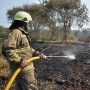 30 Hektare Lahan di Rorotan Ludes Terbakar, Diduga Sengaja Dibakar Orang