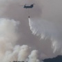 Darurat Karhutla Kalimantan, Jepang Kirim 600 Pasukan Khusus dan Kapal Amfibi