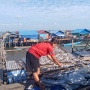Kisah Nursia, Perintis Usaha Ikan Asal Sorong yang Sukses "Naik Kelas" Bersama BRI