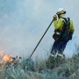 248 Hektare Lahan Sumut Terbakar Dalam 8 Bulan! Terparah Labuhanbatu
