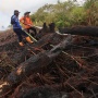 Inpres Larangan Bakar Hutan Segera Terbit, Pemerintah Diminta Libatkan Masyarakat Adat