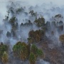 Karhutla di Aceh Barat Meluas, Tembus 6,5 Hektare Lahan