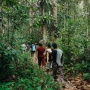 Belajar Menjaga Hutan dari Pengetahuan Leluhur Dayak Iban Sungai Utik