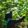Air Tidak Bisa Dicetak Ulang, Hutan Jangan Dihabiskan demi Uang