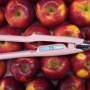 Ketika Beauty Tools Jadi Bagian dari Gaya Hidup, Warna Pink Kembali Jadi Favorit