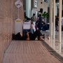 Soetta-Halim Ditutup, Ini Daftar 6 Bandara Alternatif untuk Penerbangan