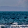 Aktivitas Anak Krakatau Meningkat, Gempa Hybrid Capai 100 Kali