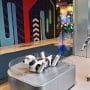 AiMOGA Hadir di Indonesia, Robotnya Bisa Sambut Tamu hingga Bawa Barang