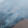 Karhutla Bakar 2.300 Hektare Suaka Margasatwa Padang Sugihan