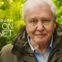 Belajar Mencintai Alam dari Film David Attenborough: A Life on Our Planet