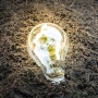 Kenali Perbedaan Sumber Energi Terbarukan dan Tak Terbarukan Beserta Contohnya
