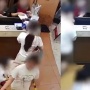 Viral Wanita Ngamuk Tuduh Bocah Laki-laki 4 Tahun Sentuh Bokongnya di China