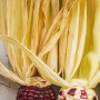 Kulit Jagung Dikembangkan Jadi Bioplastik, Bisakah Jadi Alternatif untuk Kurangi Sampah Plastik?