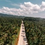 Minyak Sawit Lebih Efisien, Tapi Hutan Bukan Harga yang Boleh Dikorbankan