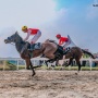 Indonesias Horse Racing: 45 Kuda Raih Posisi Podium di IHR Merdeka Cup 2026