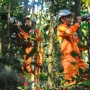 Cakupan Konservasi Halmahera Diperluas, Pemantauan Biodiversitas Kini Sentuh 40 Titik