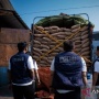Disimpan di Gudang Jakut, Penyelundupan Kacang Tanah 49,50 Ton Asal India Terbongkar