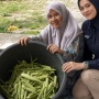 Kisah Sukses Zulhaida Sitanggang, Mampu Sulap Sampah Pasar Jadi Usaha Beromzet Jutaan Rupiah