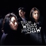 Tell Me What You Saw: Memburu Pembunuh Berantai Lewat Photographic Memory