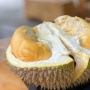 Menyambut Musim Durian: 5 Olahan Manis dan Gurih agar Tidak Bosan dan Mubazir