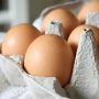4 Cara Membedakan Telur Omega dan Telur Biasa agar Tidak Salah Beli