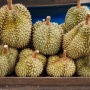 Kulit Durian Tak Lagi Jadi Sampah, Kini Bisa Menyala Jadi Bahan Bakar
