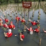 Program 1 Polis 1 Mangrove Generali Tembus 20.000 Pohon
