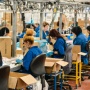 Deindustrialisasi Dini: Industri Tumbuh, tetapi Lapangan Kerja Menyusut