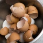 Tak Sekadar Limbah Dapur, Cangkang Telur Ternayta Bisa Diolah Jadi Pupuk: Bagaimana Caranya?