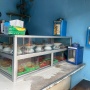 Cabai, Jengkol, Ayam Kompak Naik! Pedagang Warteg: Omzet Turun, Rp700 Ribu Habis Buat Sayur