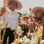 Produksi Jagung Jateng Sudah Capai 2,68 juta ton, Kukuhkan Sebagai Lumbung Pangan Nasional
