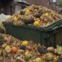 Food Waste Makin Mengkhawatirkan, Mengapa Sampah Makanan Bisa Picu Pemanasan Global?