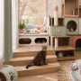 Punya Kucing di Rumah, Kenapa Interior Juga Perlu Ikut Beradaptasi?