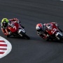 Drama Tikungan Terakhir Motegi! Badly Sukses Kunci Podium Perdana Idemitsu Moto4 Asia Cup 2026