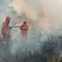Menlu Malaysia: Jarak Pandang Buruk Lumpuhkan Pemadaman Udara Kebakaran Hutan Indonesia
