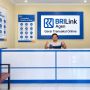 BRI Dukung Ekonomi Pelangiran Melalui Layanan BRILink Door-to-Door
