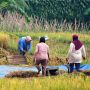 Bukan Cuma Dua Musim, Laboratorium Sedusun Bongkar Mitos lewat Kearifan Gunungkidul