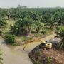 Cegah Gagal Panen, 8000 Hektare Sawah Lampung Diselamatkan dari Ancaman Intrusi Air Laut