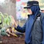 Kata-kata Kesal Bupati Siak Protes Video Tanam Pohon di Bekas Kebakaran Hutan Dihapus TikTok
