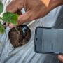Gunakan Teknologi IoT, Petani Semarang Pantau Tanaman dari Smartphone