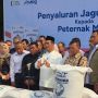 Harga Pakan Meroket Bikin Peternak Tekor, Mentan Minta Bulog Salurkan 250 Ribu Ton Jagung