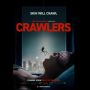 Review Film Crawlers: Aksi Matilda Lutz Melawan Invasi Ribuan Laba-Laba!