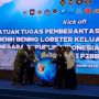RI Punya 465 Juta Benih Lobster per Tahun, Pemerintah Bentuk Satgas Berantas Penyelundupan