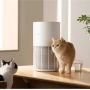 Bebas Bulu dan Bau Kotoran! 3 Air Purifier Khusus Pecinta Kucing, Mulai Rp1 Jutaan