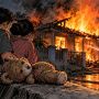 Kebakaran 150 Rumah di Penjaringan Tewaskan Wanita 40 Tahun dan Bocah 6 Tahun