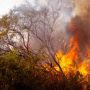 Kebakaran Lahan Mengganas di Makassar, Berjam-jam Belum Padam! Warga Terancam Asap