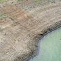Debit Air Menyusut, Hamparan Sedimen Muncul di Waduk Wonorejo
