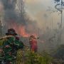Bukan Hanya Salah El Nino: Mengurai Akar Krisis Karhutla Kalimantan
