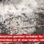 Viral Fenomena Aneh Tanah Gambut Mendidih Usai Disiram Air Saat Pemadaman Kebakaran Hutan
